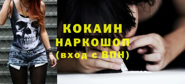 ПСИЛОЦИБИНОВЫЕ ГРИБЫ Инта