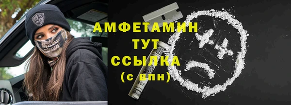 ПСИЛОЦИБИНОВЫЕ ГРИБЫ Инта
