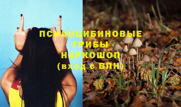 дживик Иннополис