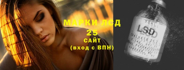 ПСИЛОЦИБИНОВЫЕ ГРИБЫ Инта