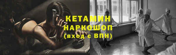 ПСИЛОЦИБИНОВЫЕ ГРИБЫ Инта