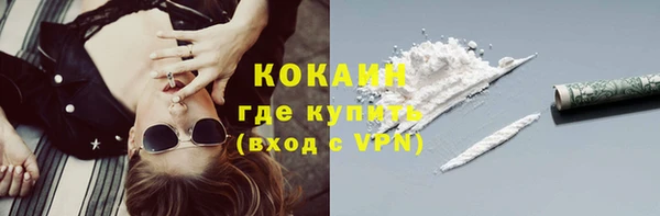 ПСИЛОЦИБИНОВЫЕ ГРИБЫ Инта