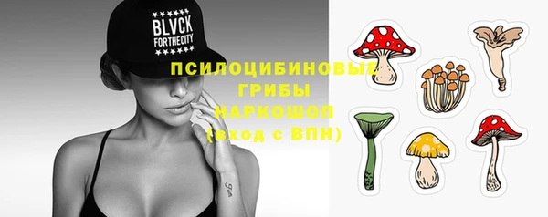 ПСИЛОЦИБИНОВЫЕ ГРИБЫ Инта