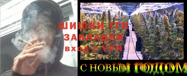 ешки Инсар