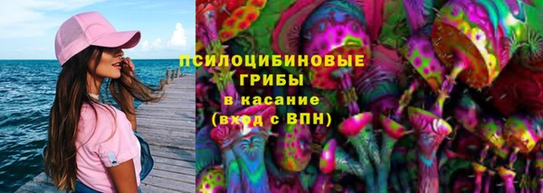 ПСИЛОЦИБИНОВЫЕ ГРИБЫ Инта