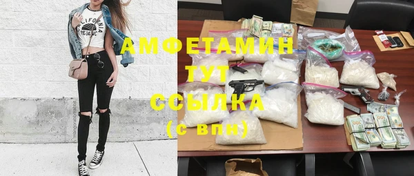 ПСИЛОЦИБИНОВЫЕ ГРИБЫ Инта