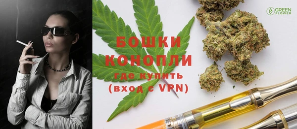 ПСИЛОЦИБИНОВЫЕ ГРИБЫ Инта