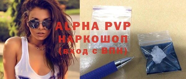 ПСИЛОЦИБИНОВЫЕ ГРИБЫ Инта